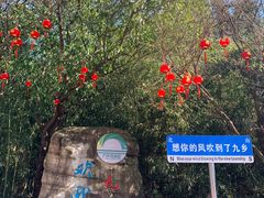 -九乡旅游区