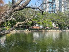 -晓港公园