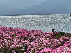 -大理洱海