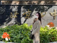 -百花深处胡同