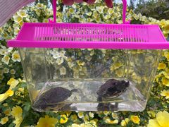 -大兴滨河森林公园