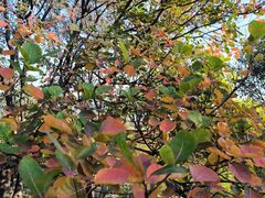 -北京西山国家森林公园