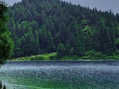 -武陵山森林公园