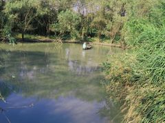 -西溪国家湿地公园