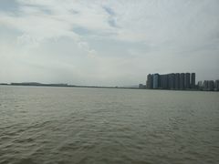 -观澳平台
