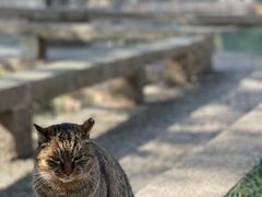-西园寺