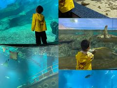 -福州罗源湾海洋世界旅游区