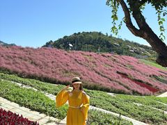 -沂蒙云瀑洞天景区