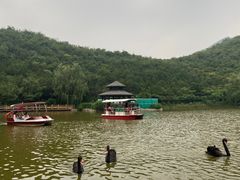-静之湖度假区