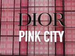 -Dior迪奥(上海世茂广场店)