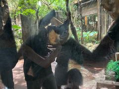 -长鹿旅游休博园