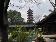-绳金塔