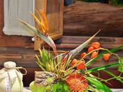 -叶叶菩提(太原别墅店)