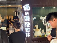 -猫的魔法密林(衣裳街店)