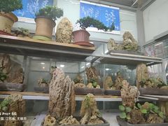 -无锡文化工艺品市场(槐古路店)