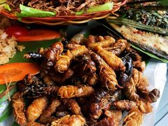 -勐旺傣香园