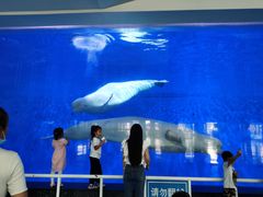 -泉城欧乐堡海洋极地世界