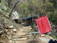 -王顺山国家森林公园