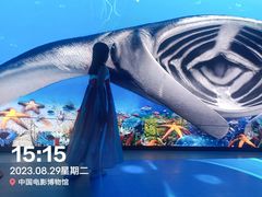-中国电影博物馆