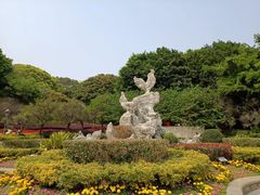 -金鸡山公园