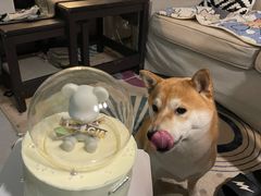 -玉见cake低糖蛋糕甜品台定制(河西店)