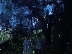 -万泉公园