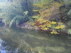 -卡定沟景区