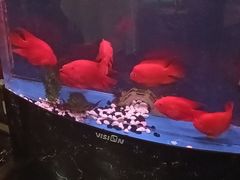 -湖庭壹品鸭王·传统北京烤鸭·别墅私房菜·庭院宵夜(江宁店)