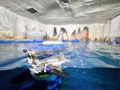 -太平洋海底世界