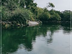 -百脉泉景区