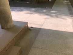 -上海市龙华烈士陵园