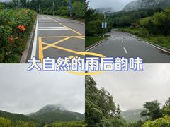 -佛慧山