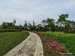 -桤木河湿地公园