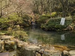 -杭州半山国家森林公园