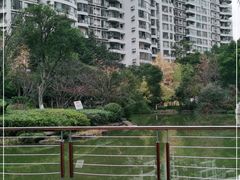 -新湖明珠城