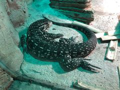 -常州淹城野生动物世界