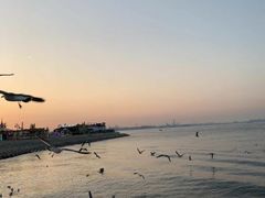 -东港音乐喷泉广场