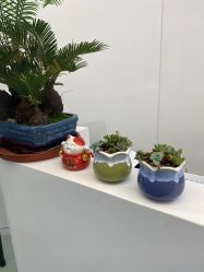 -JUVA欧华医美连锁