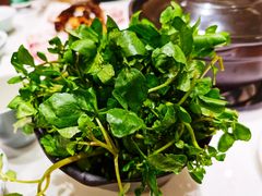 -东椰·海南椰子鸡火锅(朝阳门店)