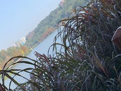 -重庆彩云湖湿地公园