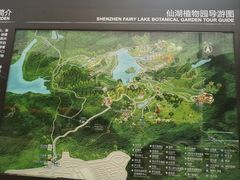 -深圳仙湖植物园