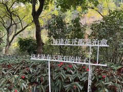 -云溪植物园