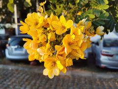 -周沫西餐(漫广场店)