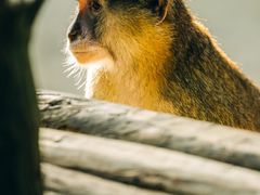 -济南野生动物世界