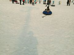 -武清南湖绿博园