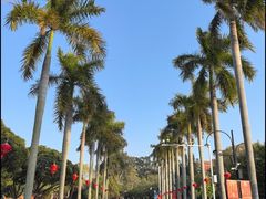 -厦门大学(思明校区)