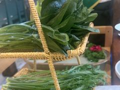 -手选潮汕鲜活牛肉火锅(二七广场店)