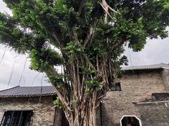 -东莞市可园博物馆