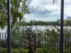 -昆山城市生态森林公园