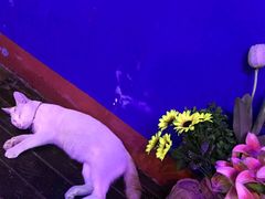 -星宿秘码(鼓浪屿老店)